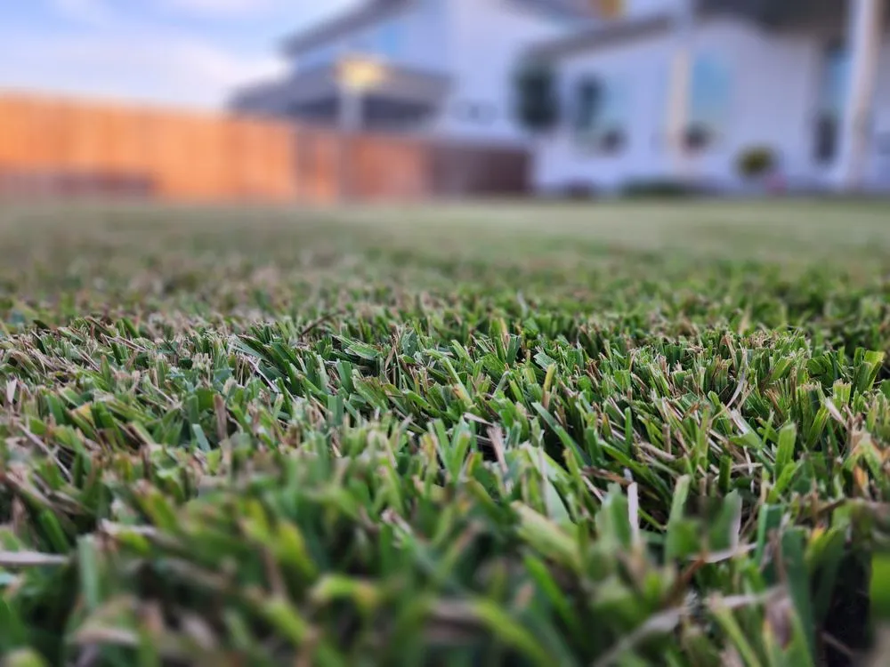 Custom yard maintenance with custom design across Houston, TX - Living With Soil Landscaping