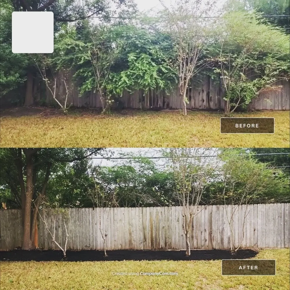 Expert yard cleanup service in Houston, TX - Living With Soil Landscaping