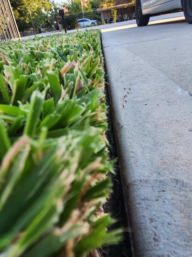 Local outdoor landscaping in Houston, TX - Living With Soil Landscaping