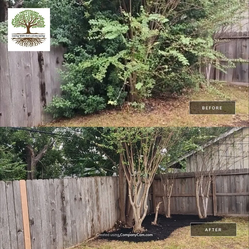 Local yard cleanup service for year-round maintenance across Houston, TX - Living With Soil Landscaping