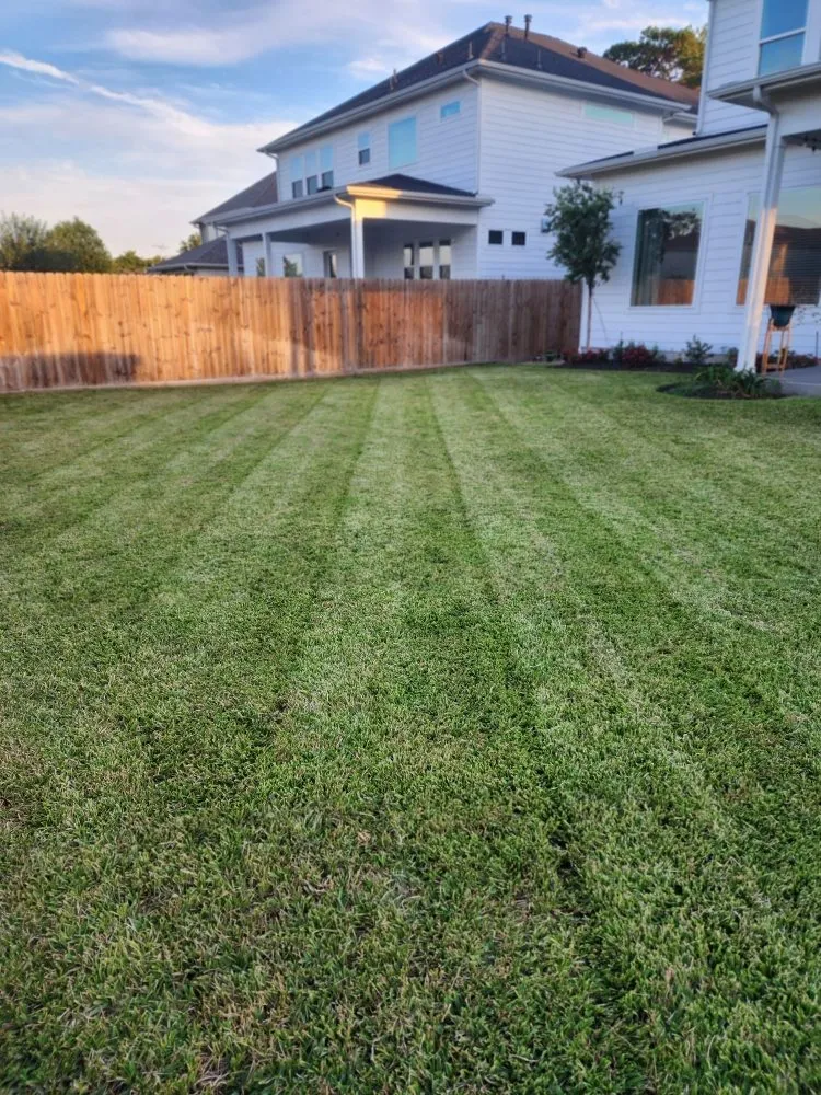 Reliable yard maintenance in Houston, TX by Living With Soil Landscaping