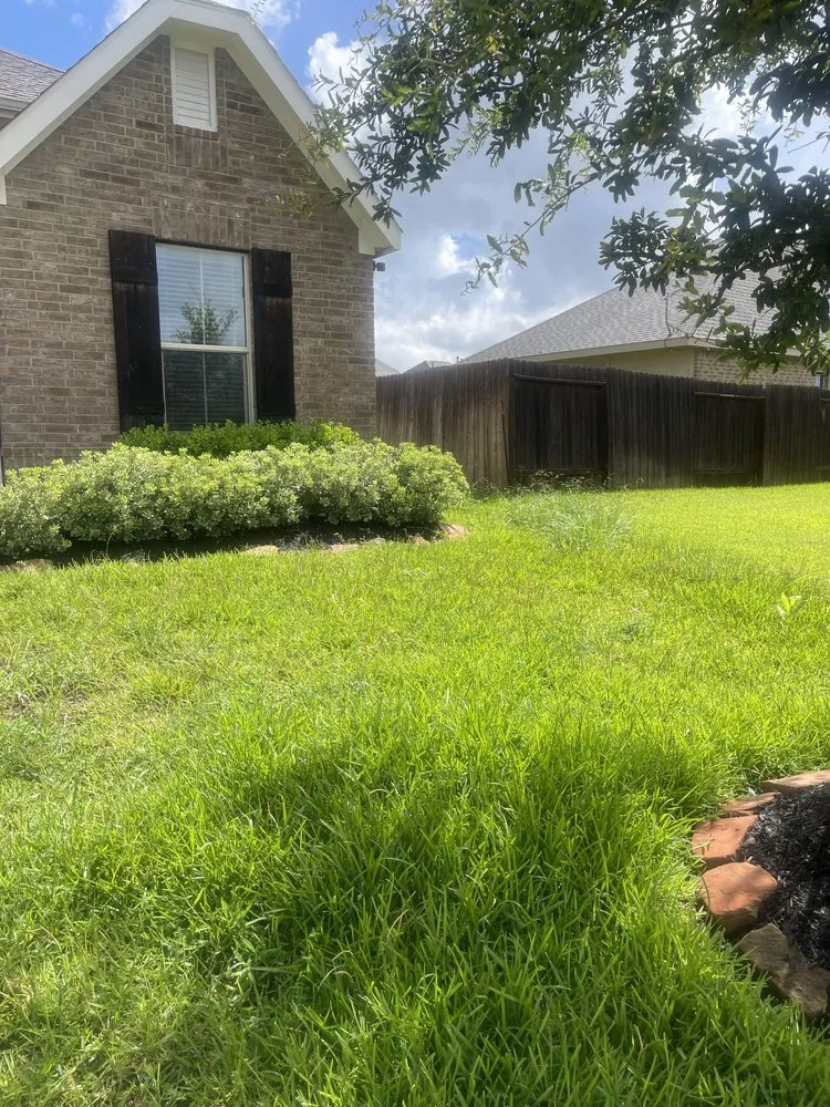 Reliable landscape installation for beautiful yards across Houston, TX - Living With Soil Landscaping