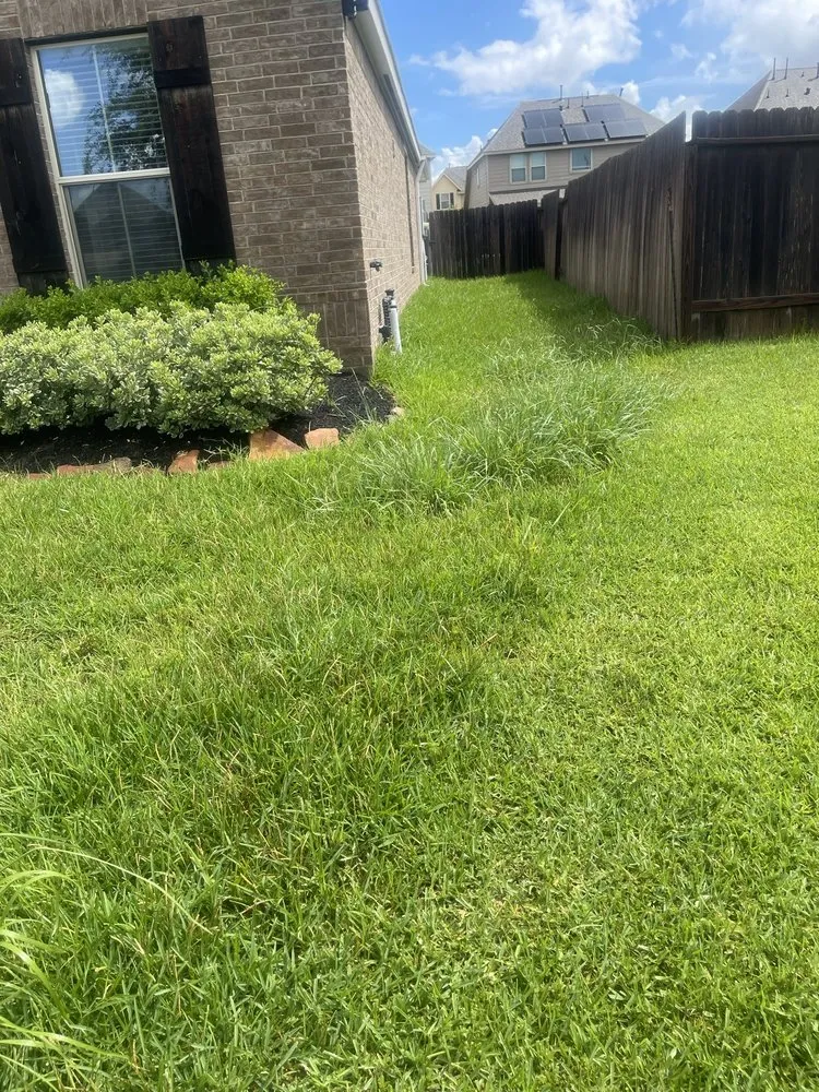 Trusted lawn mowing service for beautiful yards across Houston, TX - Living With Soil Landscaping