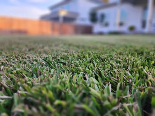 Living With Soil Landscaping Logo