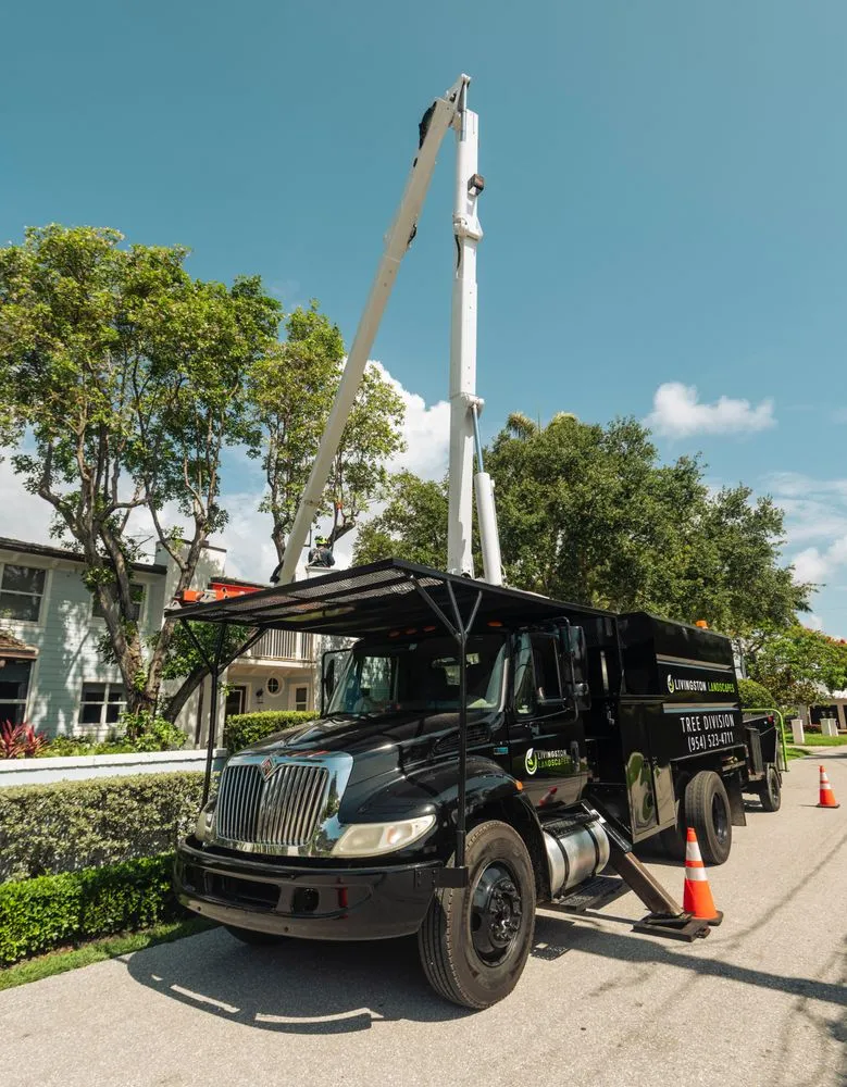 Professional lawn care service in Oakland Park, FL - Livingston Landscapes