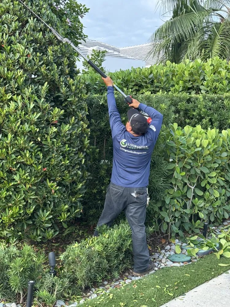 Affordable yard cleanup service in Oakland Park, FL - Livingston Landscapes