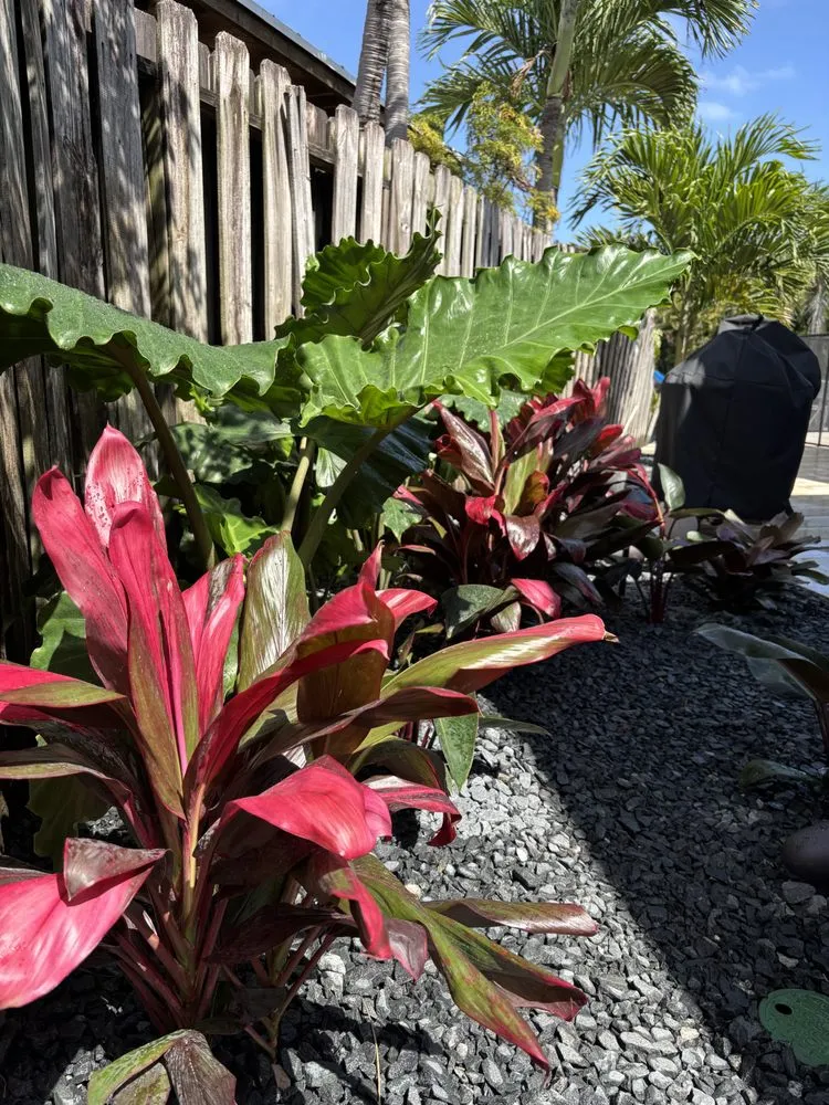 Affordable garden landscaping near you in Oakland Park, FL by Livingston Landscapes