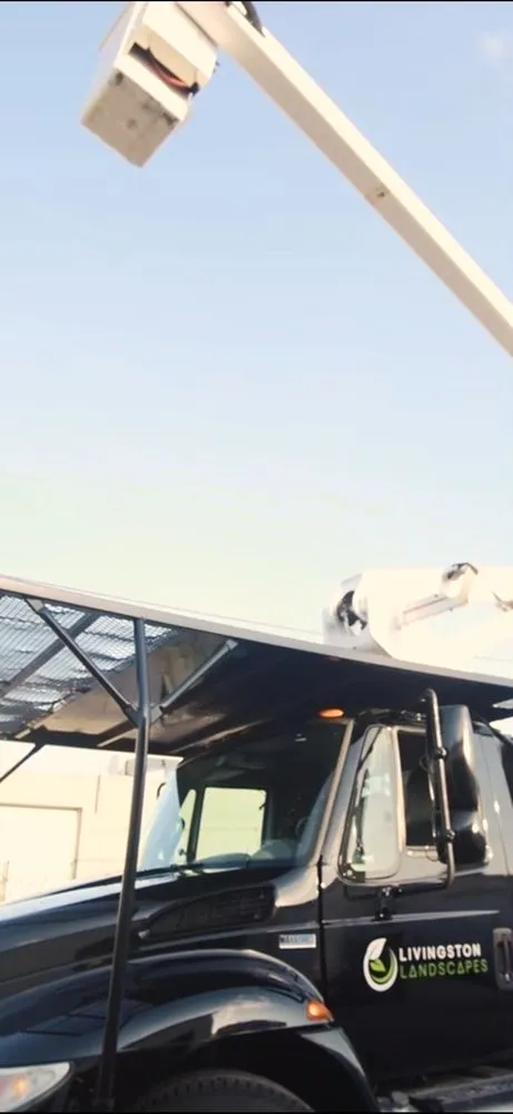 Affordable outdoor landscaping experts serving Oakland Park, FL - Livingston Landscapes