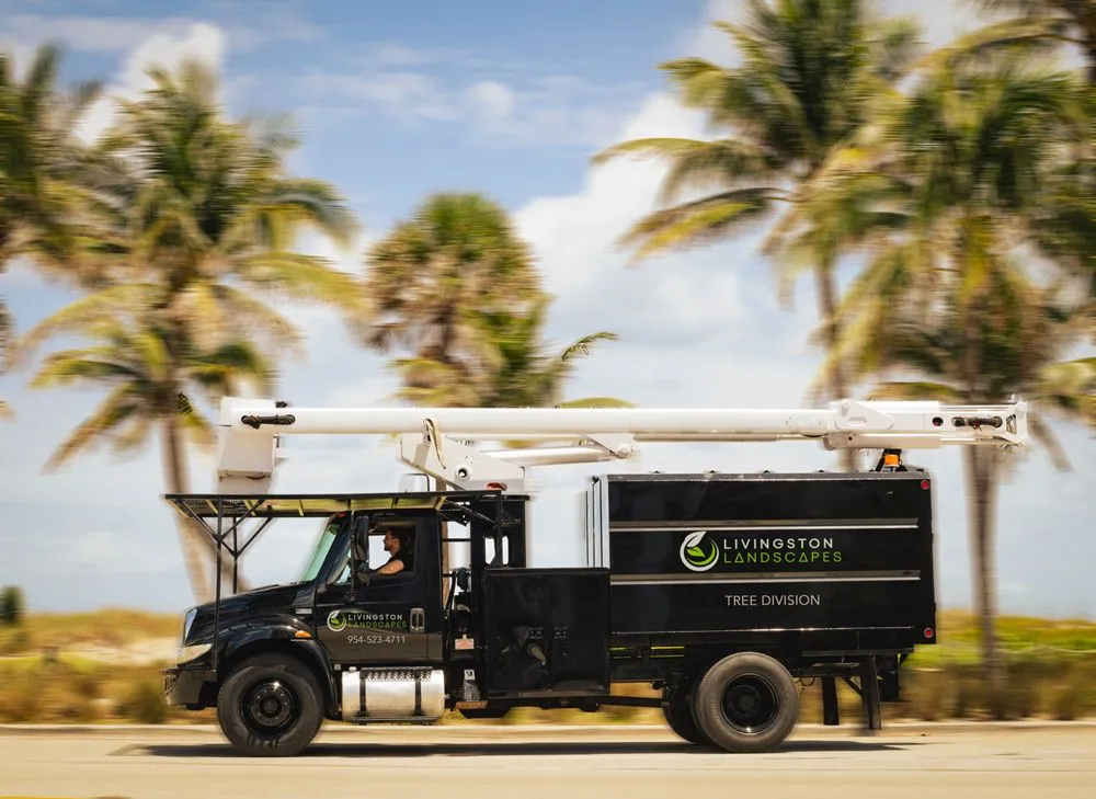 Local yard maintenance near you in Oakland Park, FL by Livingston Landscapes