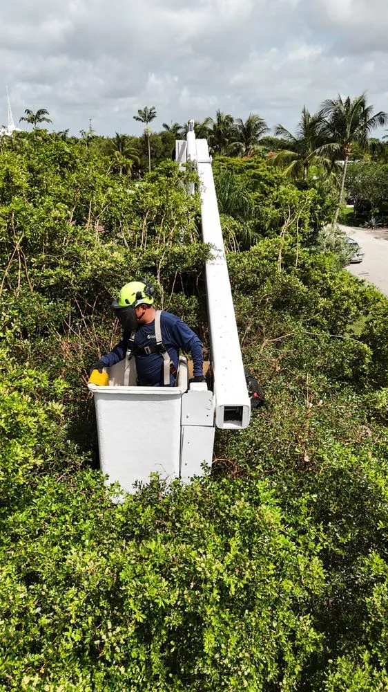 Reliable outdoor landscaping with custom design in Oakland Park, FL by Livingston Landscapes