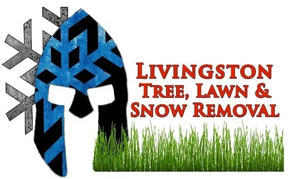 Livingston Tree Lawn and Snow Removal