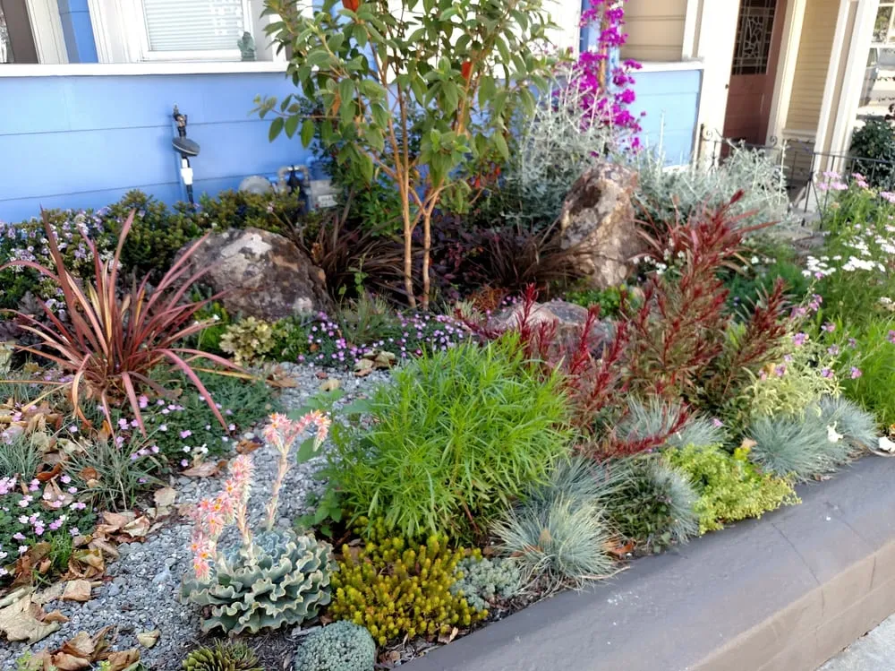 Local landscaping services in San Francisco, CA - Livingstone Landscapes
