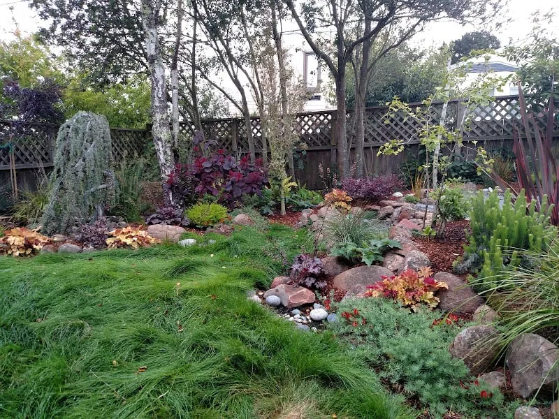 Reliable yard maintenance experts serving San Francisco, CA - Livingstone Landscapes