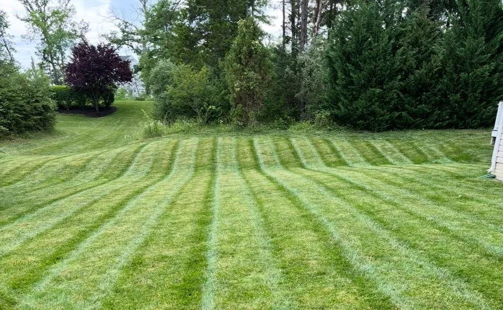 Professional lawn care service for outdoor upgrades in Aldie, VA by LivingStone Landscaping