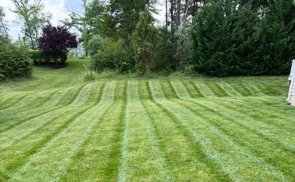 LivingStone Landscaping Logo