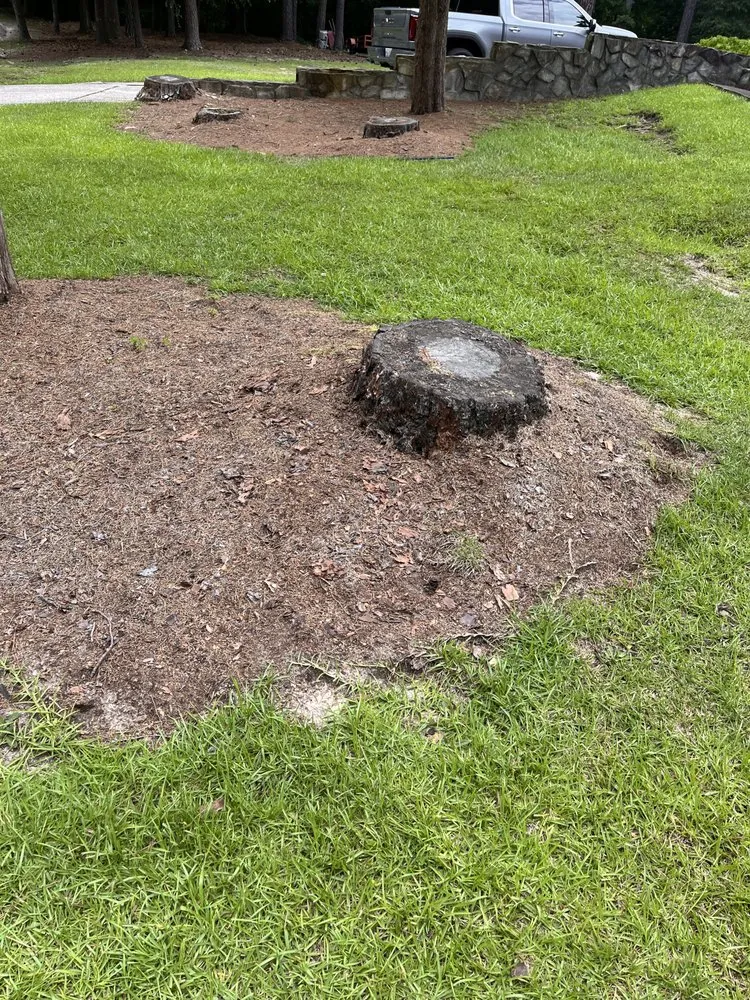 Reliable outdoor landscaping in Broadway, NC by Livi’s red shed