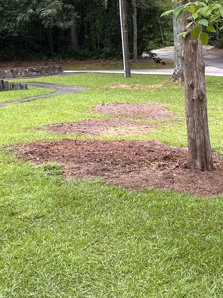 Local lawn care service near you across Broadway, NC - Livi’s red shed