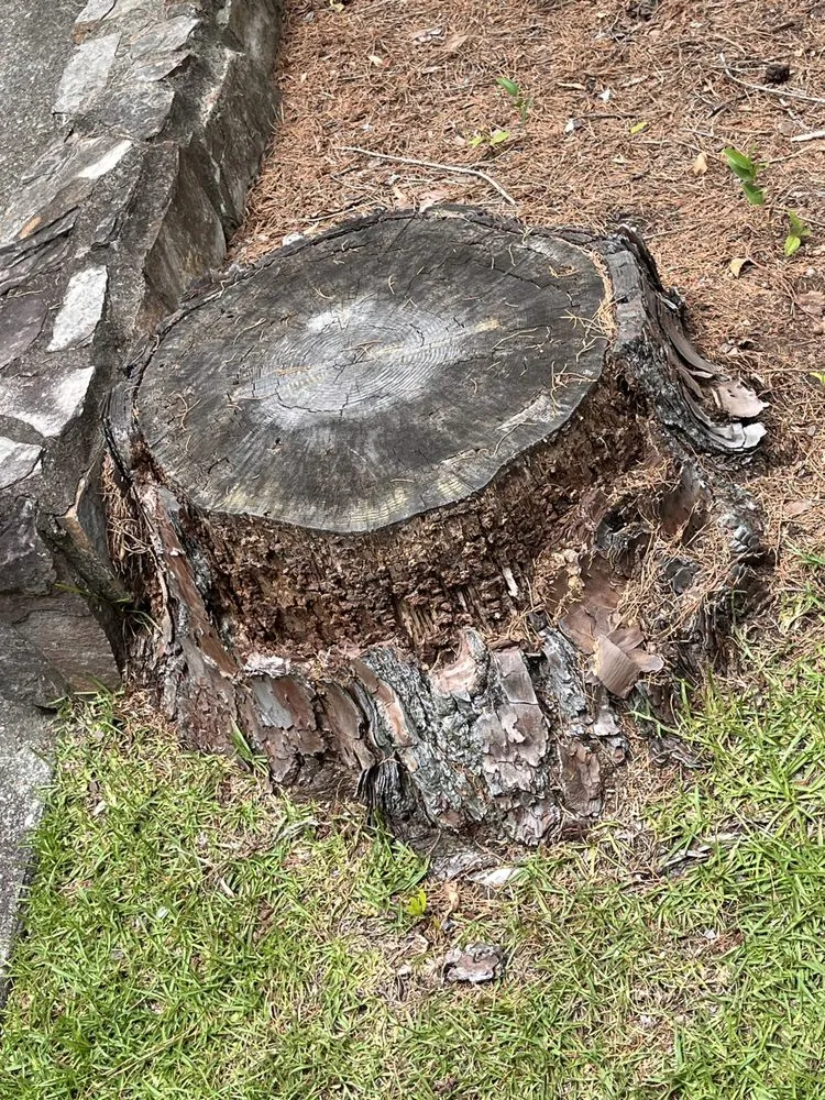 Custom lawn care service in Broadway, NC by Livi’s red shed