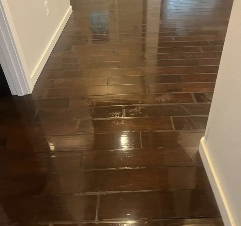 Professional landscape installation in Auburn, WA - Liz House Cleaning