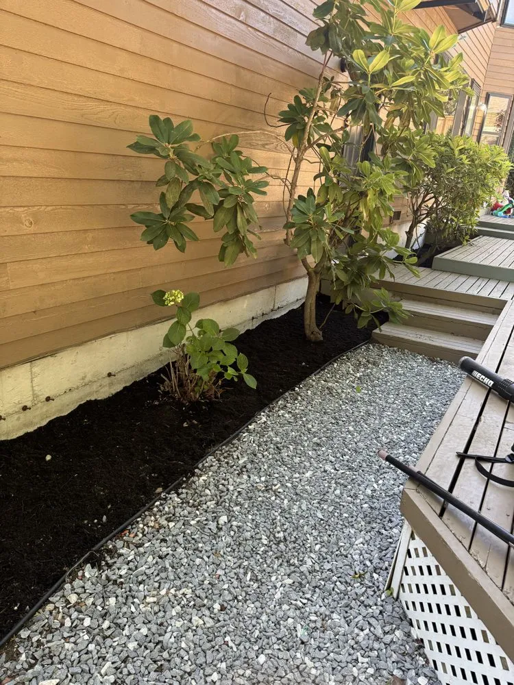 Trusted lawn mowing service for outdoor upgrades across Auburn, WA - Liz House Cleaning