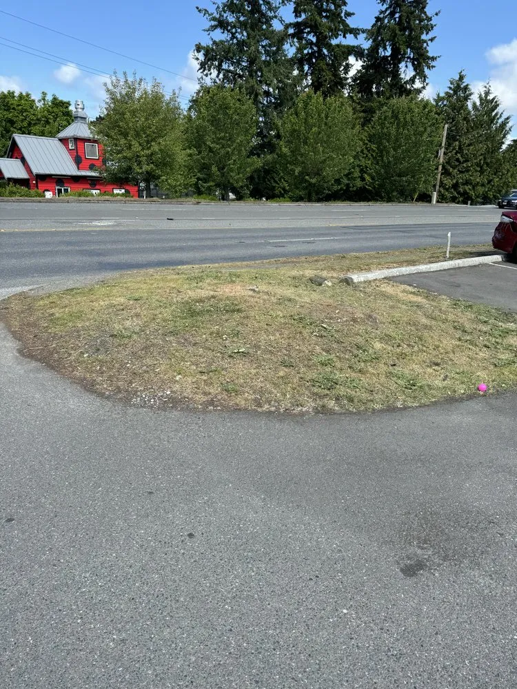 Professional lawn mowing service for residential properties in Auburn, WA by Liz House Cleaning