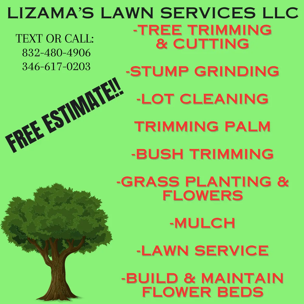 Reliable yard cleanup service for beautiful yards in Webster, TX by Lizama's Lawn Services