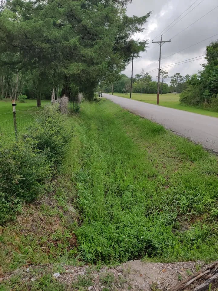 Custom lawn care service for beautiful yards across Webster, TX - Lizama's Lawn Services