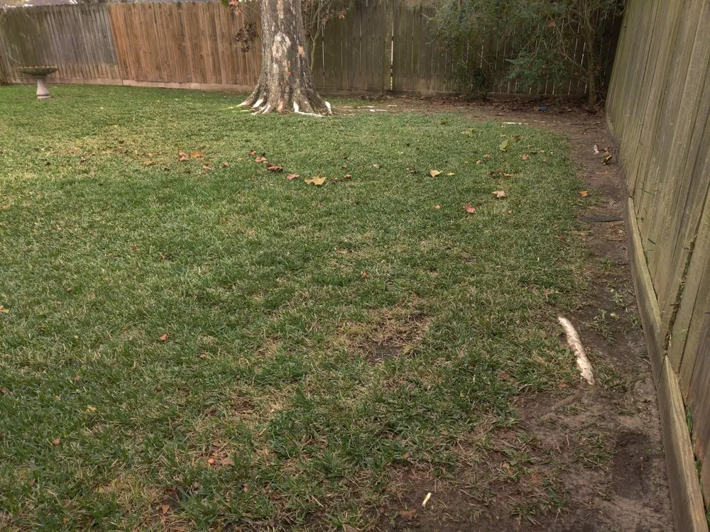 Trusted landscaping services for residential properties in Webster, TX by Lizama's Lawn Services