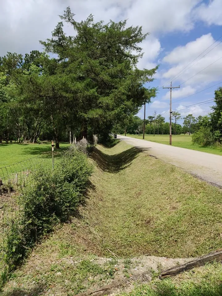 Custom lawn mowing service experts serving Webster, TX - Lizama's Lawn Services