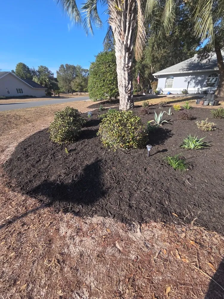 Custom landscaping services near you across Beverly Hills, FL - Lizard Landscaping and Sprinklers