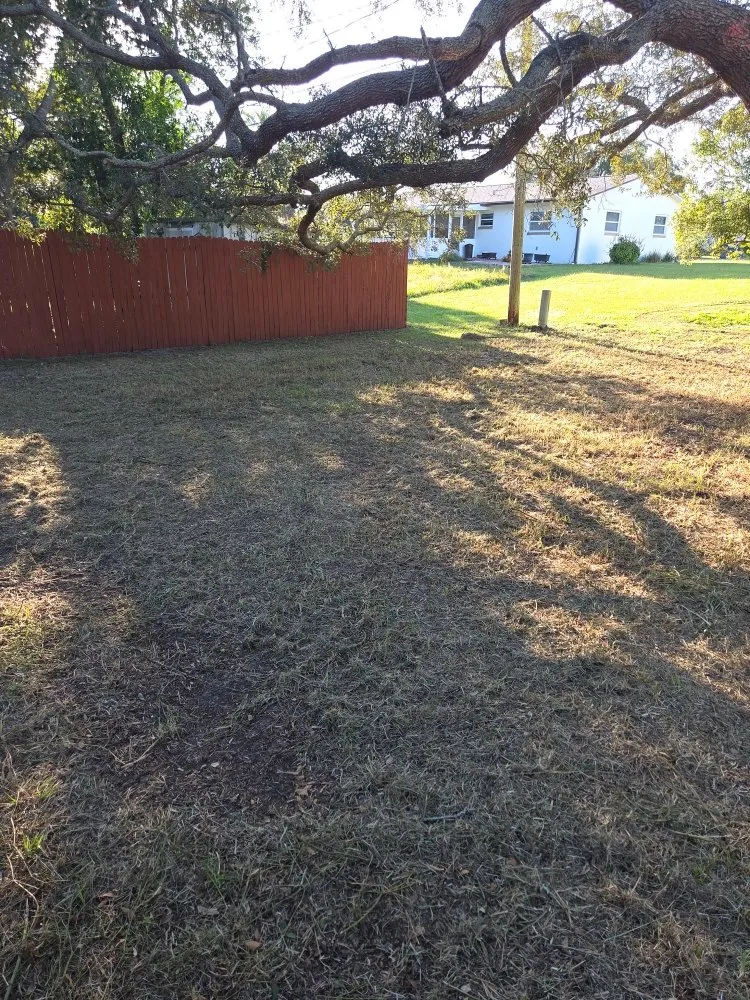 Affordable landscape design in Beverly Hills, FL - Lizard Landscaping and Sprinklers