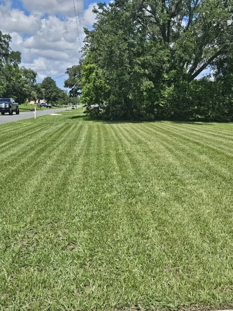 Local lawn mowing service for outdoor upgrades in Beverly Hills, FL by Lizard Landscaping and Sprinklers