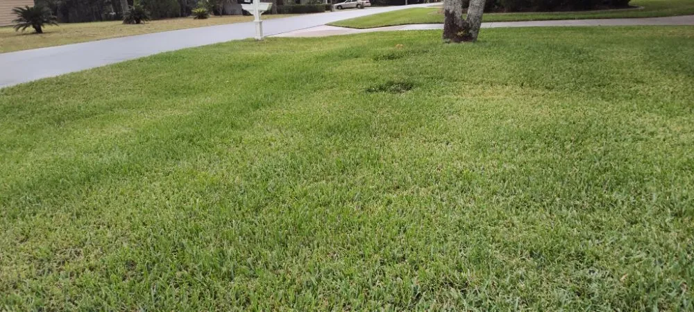 Trusted lawn care service for homes in Beverly Hills, FL by Lizard Landscaping and Sprinklers