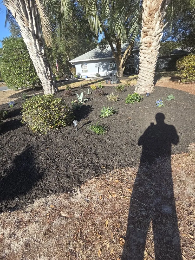 Local outdoor landscaping for year-round maintenance across Beverly Hills, FL - Lizard Landscaping and Sprinklers