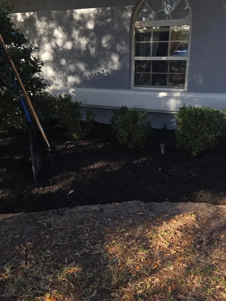 Affordable garden landscaping in Beverly Hills, FL - Lizard Landscaping and Sprinklers