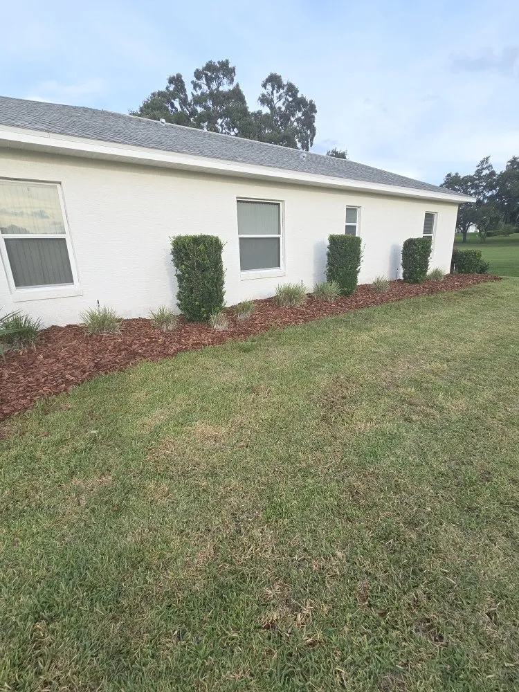 Professional garden landscaping in Beverly Hills, FL by Lizard Landscaping and Sprinklers