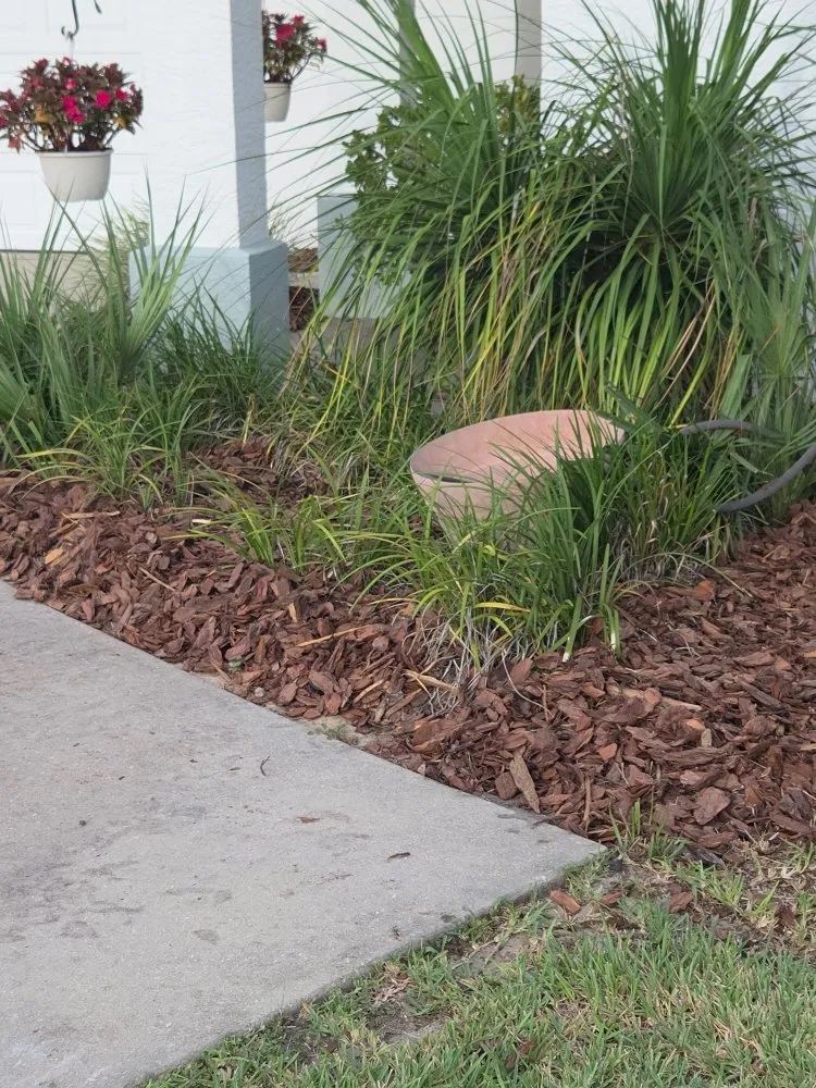 Trusted yard cleanup service for residential properties across Beverly Hills, FL - Lizard Landscaping and Sprinklers