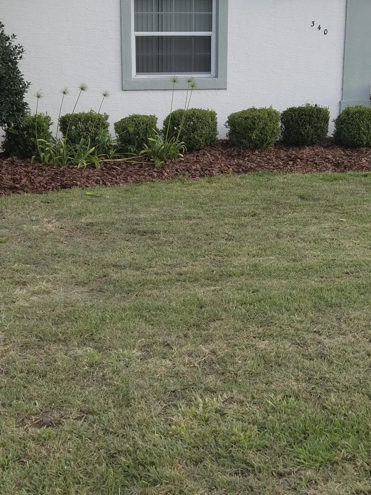 Custom landscape design experts serving Beverly Hills, FL - Lizard Landscaping and Sprinklers