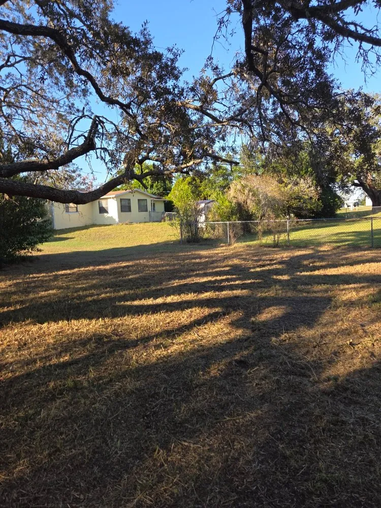 Custom yard maintenance in Beverly Hills, FL - Lizard Landscaping and Sprinklers