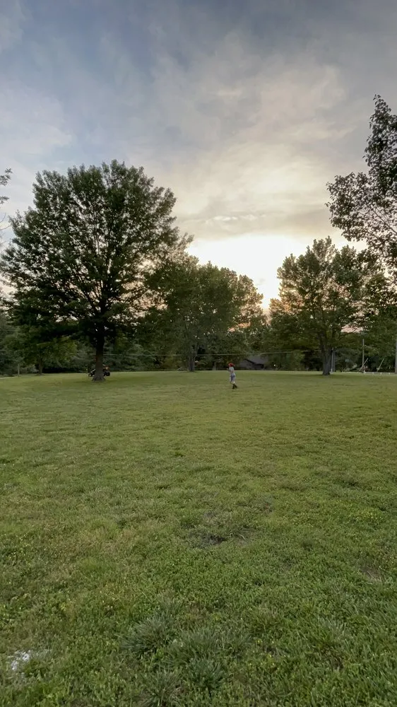Reliable landscaping services in Walnut Grove, MO by Lizard Lawn & Tree Care