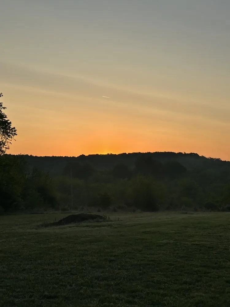 Trusted lawn mowing service in Walnut Grove, MO - Lizard Lawn & Tree Care