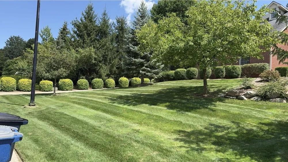Professional outdoor landscaping experts serving Tecumseh, MI - Lizard Lawns Landscaping