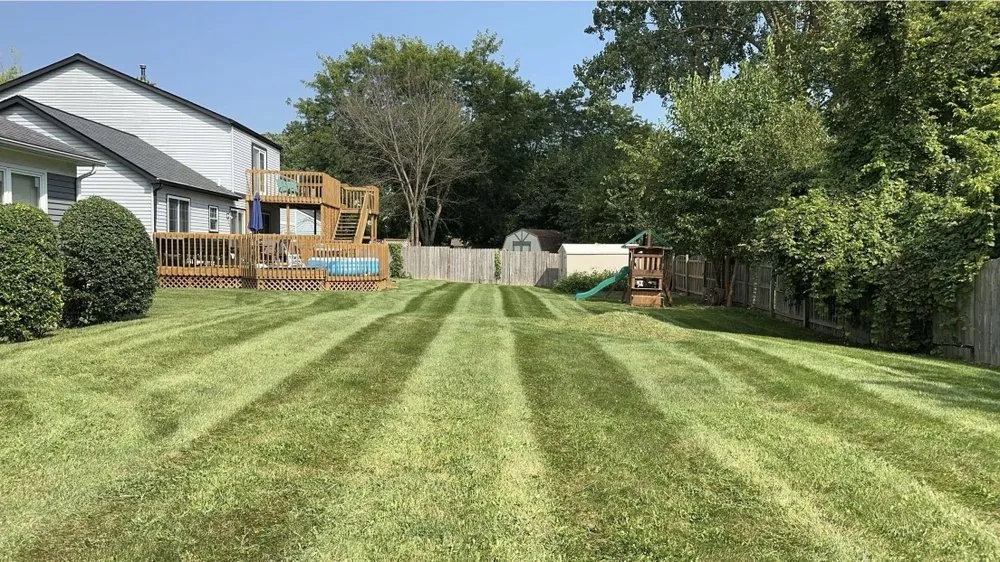Top-rated yard cleanup service for residential properties across Tecumseh, MI - Lizard Lawns Landscaping