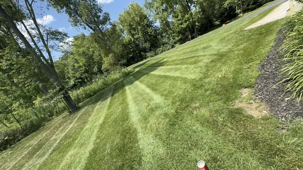 Trusted landscape design in Tecumseh, MI - Lizard Lawns Landscaping