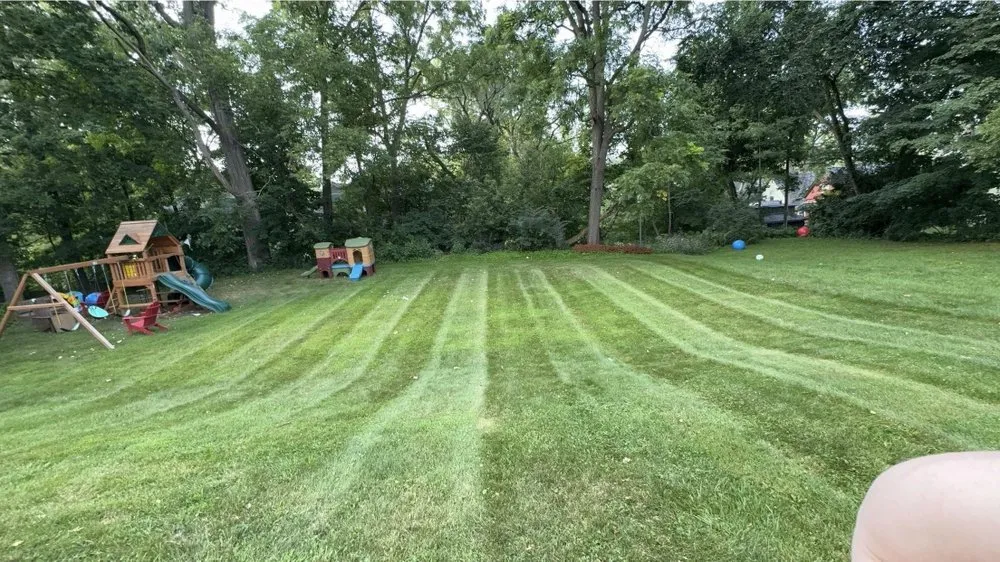 Top-rated lawn care service for outdoor upgrades in Tecumseh, MI by Lizard Lawns Landscaping
