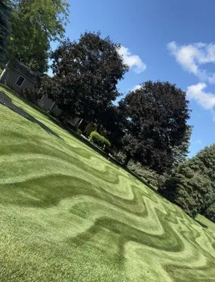 Lizard Lawns Landscaping