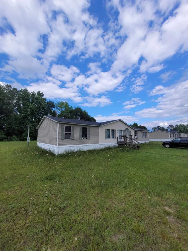 Affordable lawn care service in Bishopville, SC - Lizard man's lawn care