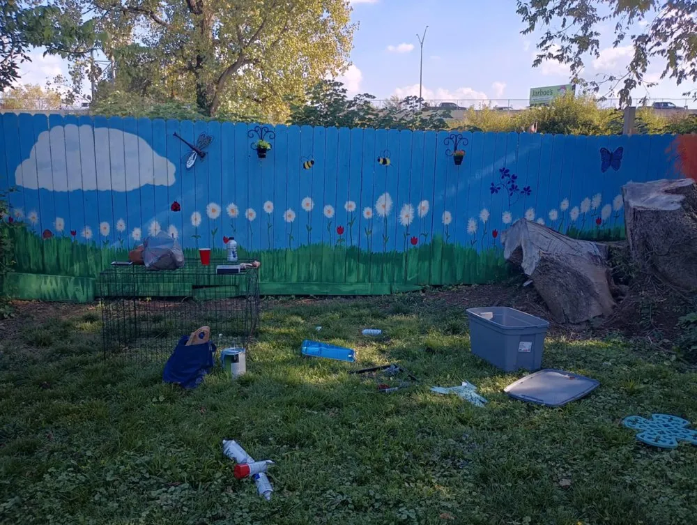 Custom yard maintenance experts serving Seattle, WA - Lizzy Landscape Design