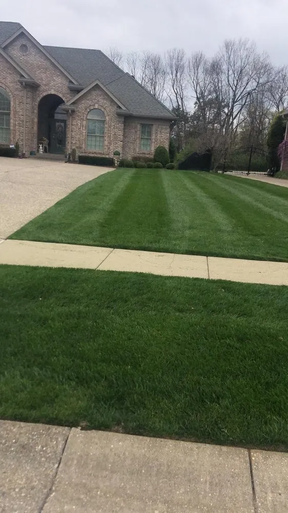 Trusted landscape installation for homes in Seattle, WA by Lizzy Landscape Design