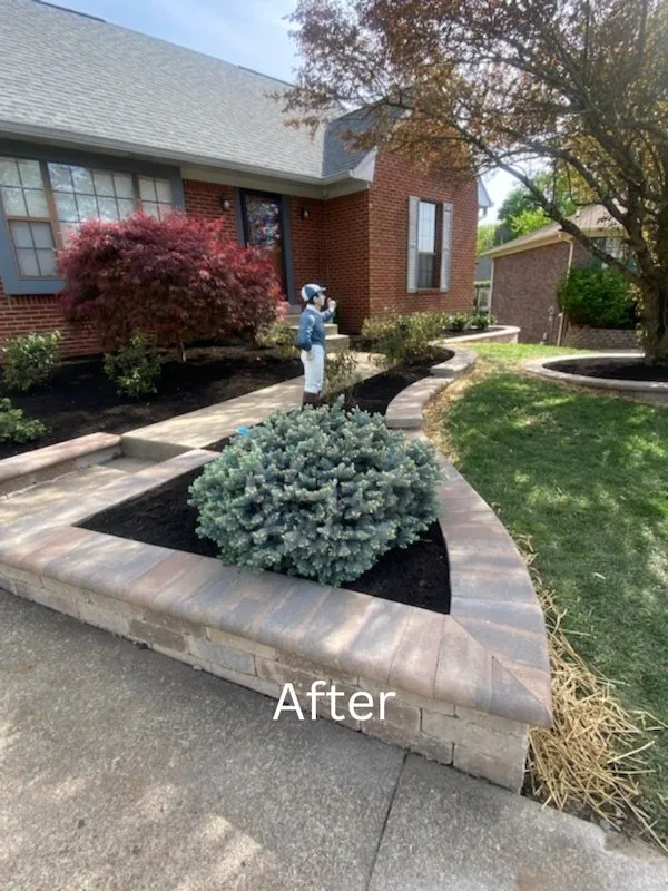 Reliable lawn care service for homes across Seattle, WA - Lizzy Landscape Design